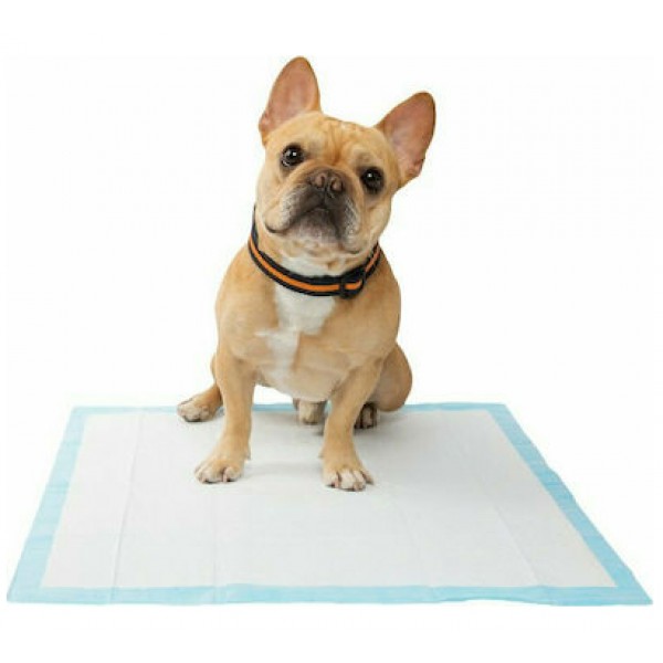 ΠΑΝΕΣ ΔΑΠΕΔΟΥ ΕΚΠΑΙΔΕΥΣΗΣ ΣΚΥΛΟΥ 6ΤΜΧ 60Χ45CM 30457-27